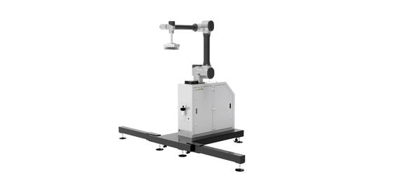WP-20 Chinesische Roboterarm Vakuum-Palletizing-Kamera Sichtprüfungssystem